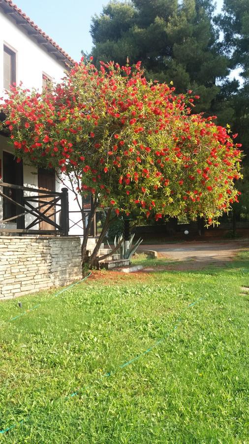 Maria's House 3*